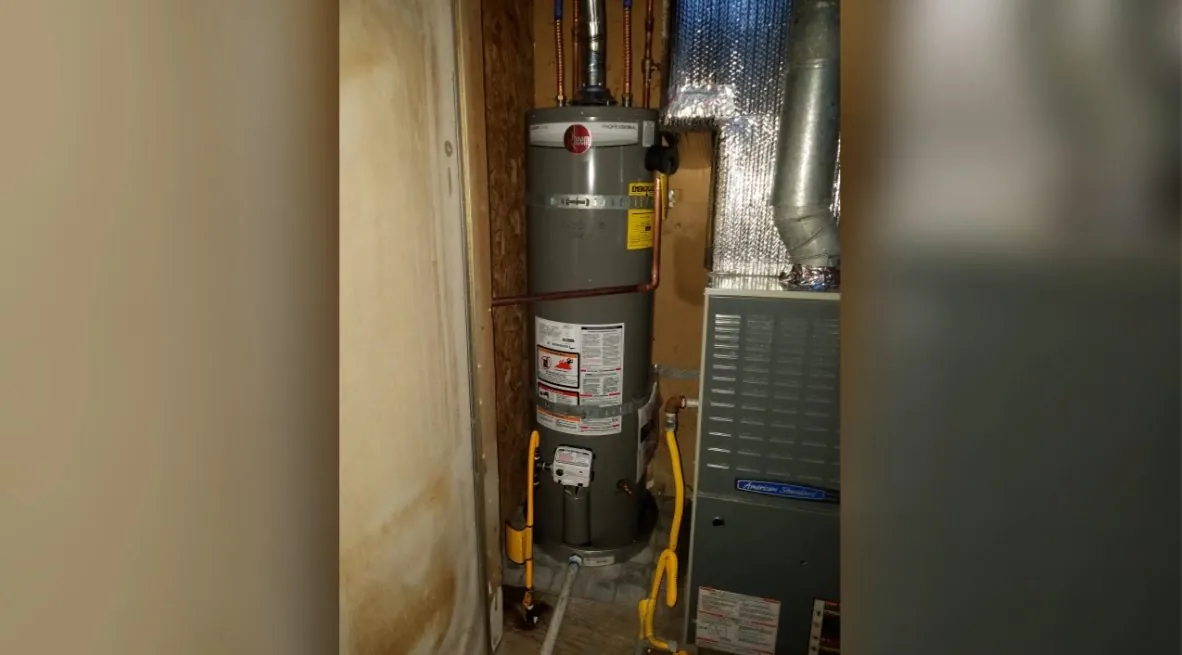 Gas water heater with its flue stood in a closet beside a furnace